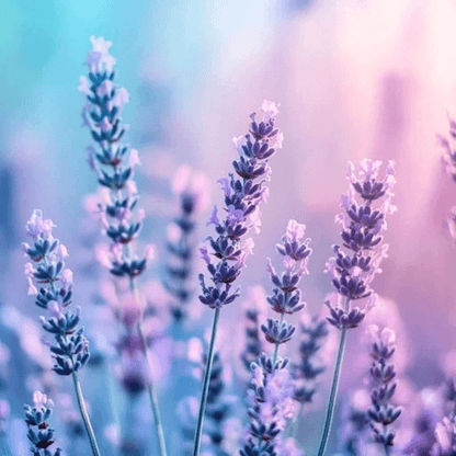 SnuggHug™ Lavender Sleep Spray